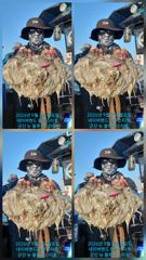 (西)서해조황 - 8일, 군산쭈꾸미~오전반~점점 좋아지는 쭈구미조황~실시간~군산낚시프라자 월명호 사진