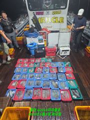 쭈.갑 먹물조황+ - 완도 늘빛호 주꾸미 9월7일 철수조황