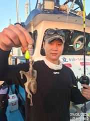 ●실시간 대박 쭈꾸미●내일은 더 대박날 듯●9월 8일 쭈꾸미 실시간 조황●군산 인해호●