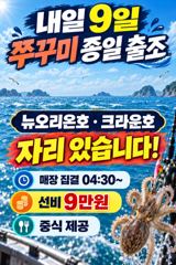<발키리호> 쭈꾸미-오전 마무리 조황(8일)-내일 쭈꾸미 자리있습니다.