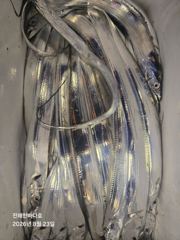 출조안내 - [진해갈치낚시] 진해 내만갈치 꾸준한 입질에 찐한 손맛 보러 계속해서 달립니다^0^ 사진