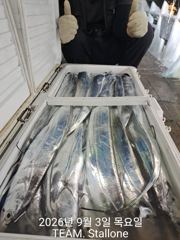 출조안내 - [부산공항낚시] 금요일/월요일(11일,14일)오전9시"여수먼바다 왕갈치 출조합니다 사진
