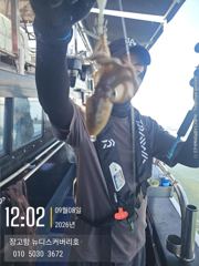 9월8일쭈꾸미조황입니다. 사진