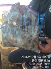 9/8오후 조황
