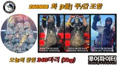 쭈.갑 먹물조황+ - 루어파이터호-9/8 화 [3물] 쭈/갑 조항 입니다.