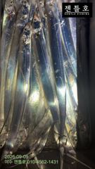 금요일부터 남쪽 멀리 달립니다.(대치소굴로) 사진