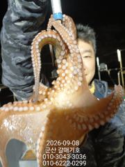 9월8일 화요일 갈매기호 실시간 사진