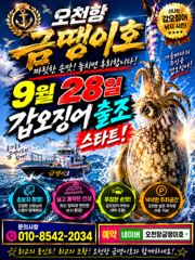 [금땡이호] 오천항금땡이호 9월8일 쭈&갑 조황 사진