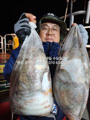 9월8일 굿조황 군산 홈런호 야간문어 마무리 조황 입니다. 오늘도 변함없이 악조건속에서 조사님들 수고 하셨습니다.