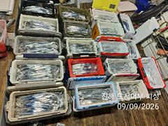 9일새벽 씨알좋은 내만갈치 엄청 바뿌게 올라 옵니다~!!오늘 예약가능