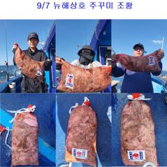 9월 8일 주꾸미 조황