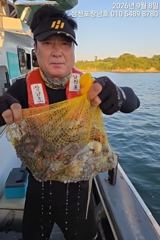 [사천] 돌문어 평일오전10시출조 주말오전6시출조 사진