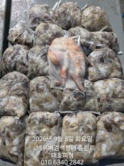 갈치한치조황++ - 군산 대호피싱 쭈꾸미야 문어야~~~ 사진