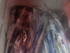 (南)남해조황 - 수온떨어지고 갈치 활성도 굿~입니다 사진