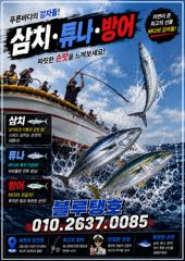 (東)동해조황 - 지속된 북동기류, 대삼치 포인트 상황! (금욜부터 출항 가능해요) 사진