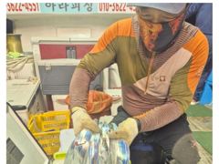 씨알 좋은 갈치 넉넉히 올라왔습니다. 기상 악화로 금요일부터 출조합니다.