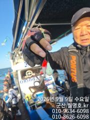 9일, 군산쭈꾸미~오늘도 시작~점점 좋아지는 조황~오전/오후반~군산낚시프라자 월명호