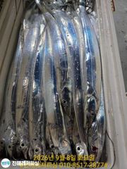 (南)남해조황 - 쭈꾸미도 아닌데 얼마나 황금손이면 문어를 1분에 한마리씩 잡아요