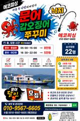 8일)쭈꾸미 마리수 조과~ 손맛 즐겨보실분 전화주세요 사진