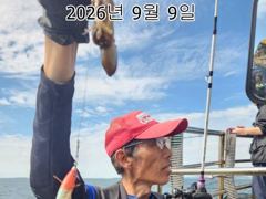 26년 9월 9일!! 인천 은아3호 오전오후 시간배 체험낚시 조항사진 입니다~^.^