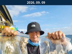 9월9일 인천남항 테슬란호 쭈꾸미조황입니다~~^^