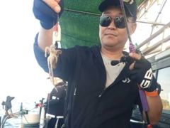 쭈꾸미 마리수조황