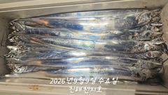 [진해] 9일 입항 내만갈치 루어에 미친듯이 올라오네요!! 손마 하게 보… 사진
