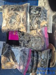 09월09일 쭈꾸미 조황입니다