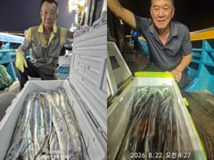 <<<여수태양피싱>>> 8월 21일(금) 갈치 출조 조황 소식//문의 010-3977-5388