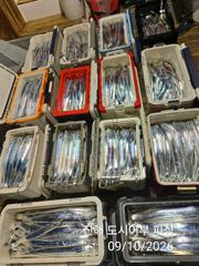 갈치한치조황++ - 10일 입항, 내만갈치 만쿨~~ 쿨러 넘치도록, 오늘 예약가능. 사진