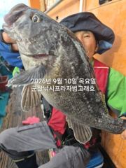 10일,날마다 쏟아지는 대광어~참돔,우럭등~오늘도 시작 굿~실시간 ~내일도 출조~군산낚시프라자 범고래호 사진