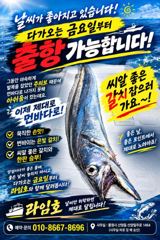 출조안내 - 두족류 전문사냥꾼 여수헌터호 내일 갑오징어 출항 예약가능 합니다 사진