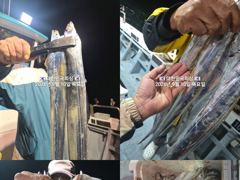 진해내만갈치~밤새 피딩피딩~~쿨러 가득~~예약가능 사진