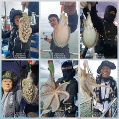 쭈.갑 먹물조황+ - [무창포아파치호] 9월10일(목), 쭈꾸미들 따박따박, 마릿수의 망태기 푸짐한 조황. 다음주 화,수요일(15일,16일) 자리여유, 예약문의는 010-8422-0866 사진
