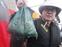 조황사진 - 9월10일 조황 - 인천배낚시 주꾸미 배낚시 전문 인천우리바다낚시-인천 쭈꾸미 갑오징어 선상바다낚시 사진