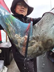 09월10일 주꾸미 조황(20명) 사진