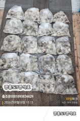 9월10일쭈&갑출조 사진