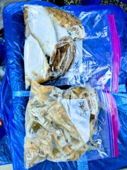 9월10일 사진