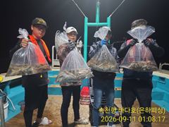 내만 문어 황금 문어 난리 났다 키로kkk 최대 12수 금요일 야간 예약가능 달립니다 사진