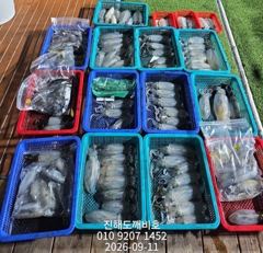 팁런무늬오징어 10일 목요일 출조조황 입니다 사진