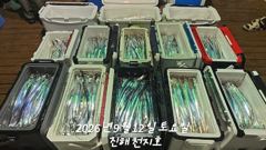 [진해] 내만갈치 마릿수 정말 많아요~~~예약가능 사진