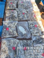 11일 오전반