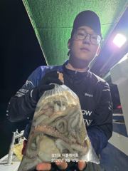 [먹물조황]삼천포문어조황!주간반,야간반매일출조! 사진