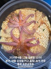 통영 금정호 오전문어 마릿수 좋습니다!! 내일과 모레 자리있습니…