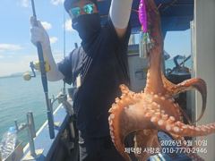 [진해] "여밭돌문어" 강풍에 1500g800g700g외 덩치들과~개인1…