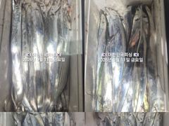 내만갈치~~3지급 시알좋고~~손맛짱짱~쿨러빵빵~일,월부터가능