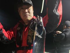 내만갈치 오늘도 초!대박! 퍼담았습니다~!! (일요일예약가능)