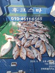 ★★후크스타호★9/11(금) 참돔 조황★ 사진