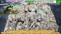 9월11일 홍원항힐링호 쭈갑 조황~!대사릿물에 쭈꾸미 괜찮네요^^부부조사님들은 올리신거보다 떨군게 더 많으시네요 ㅋㅋ 다음에 오시면 두배는 더 잡으실듯 ㅎㅎ장원240수오바~