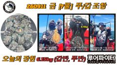 9/11 금 [7물] 쭈꾸미/갑오징어 조항 입니다.